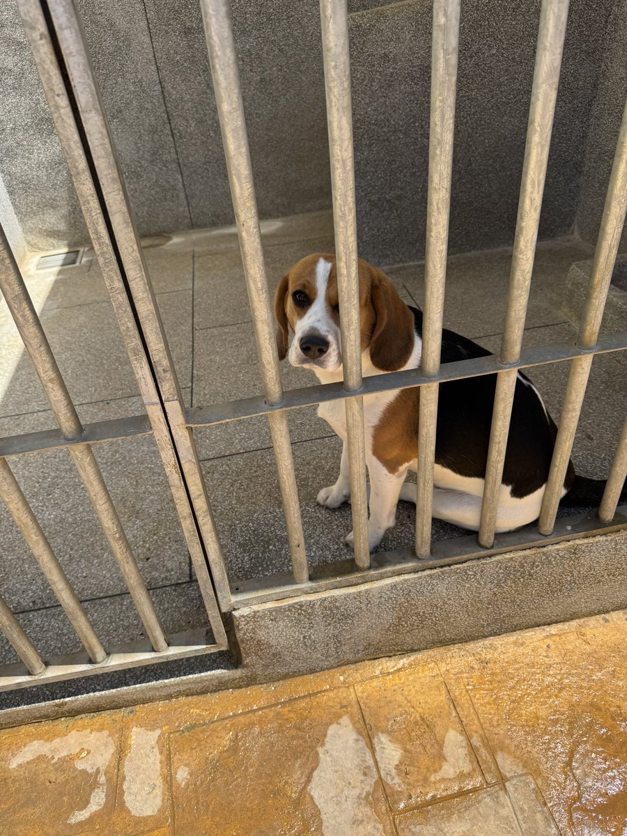 My first visit to Rabat with the team, what a beautiful city! Great work being done with K9 Unit and execution in Modern Trade! <a href="/Transmed/">Transmed</a>