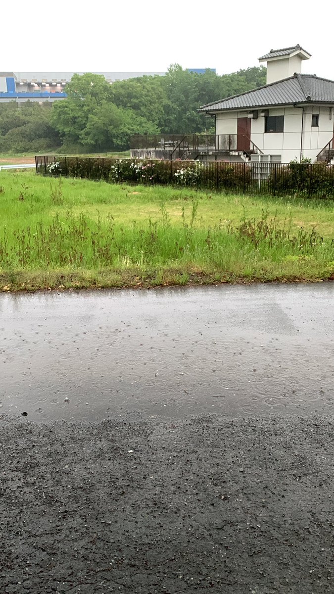 結構雨強いから帰るのだるいなぁ
#土砂降り