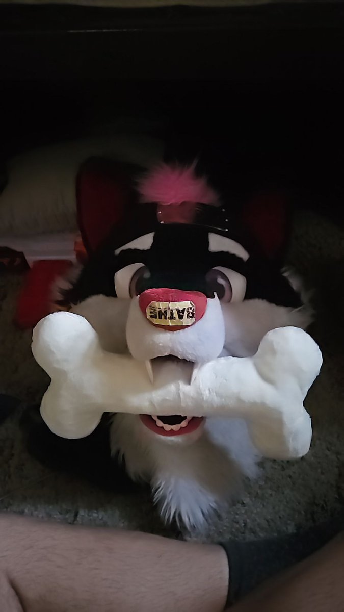 Imma have so many of these, want a bone like this high quality for fwa 15 dollars only!!!!! Also retweet this if ur gonna be at fwa for an entry to win a free one 💜 DMs open for people buying! Will have em for fwa only a limited supply so tap in