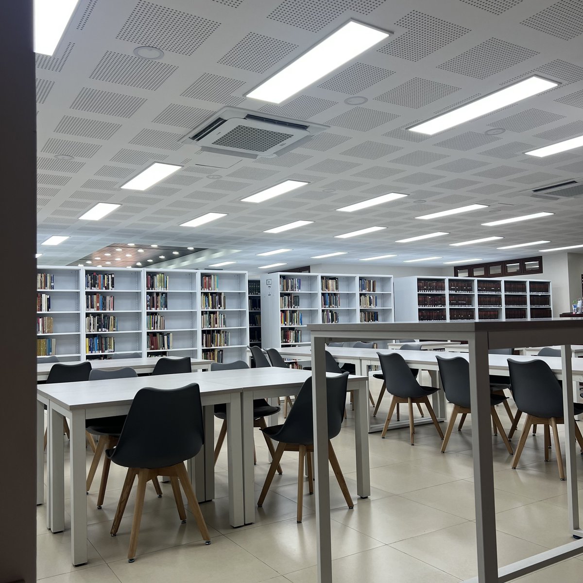 wonuscene's tweet image. just a girl trying to lock in 🫵🏼 😭😩