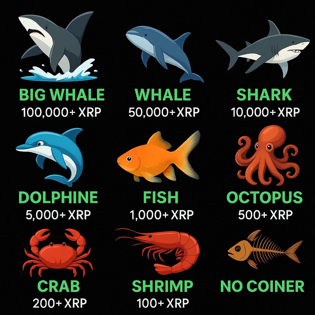 ⚔️ XRP Avengers ⚔️ tweet media