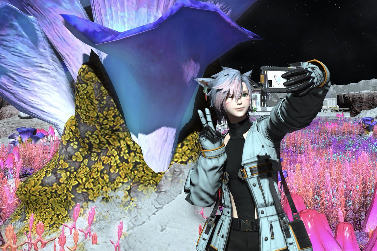 一段落着いたから、ちょっと休憩。