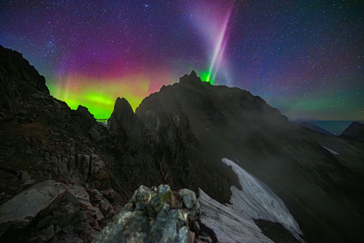 Cascadian Sol tweet media