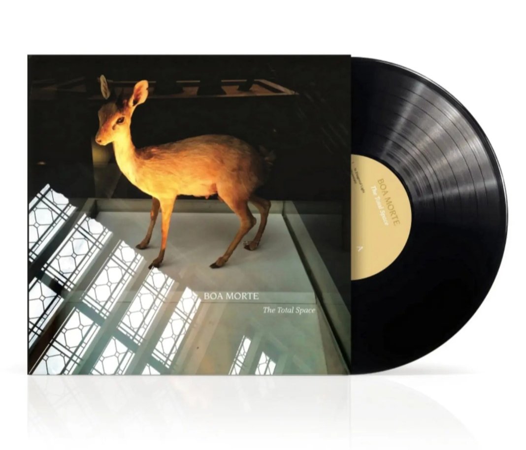 The Total Space available on 180g vinyl or CD from Bandcamp #BandcampFriday - '.....Like Nick Cave circa the Skeleton Tree, beset with quiet regrets and the secrets of nature The Total Space bears us to a peaceful eternity' ⭐⭐⭐⭐ RnR magazine !! 

boamorte.bandcamp.com/album/the-tota…