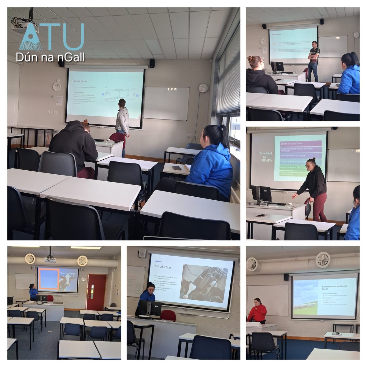 ATU Donegal Department of Life & Physical Sciences (@atudonegal_sci) on Twitter photo ๐ฝ๐ฃ๐๐๐๐ช'๐ค ๐ฝ๐๐ฃ๐๐๐๐ ๐ฝ๐ฆ๐ pt 1
๐ฃ๐ฅ๐๐ฆ๐๐ก๐ง๐๐ง๐๐ข๐ก ๐ฆ๐๐๐๐๐ฆ
This week saw the wrap-up of the literature review presentations for ๐ผ๐ฃ๐๐ง๐๐ฌ and the 3rd year students: 8 minute talk with questions to follow... ๐
#ATUDAgri
#CAO_CODES: #AU371 & #AU272
<a href="/atu_ie/">Atlantic Technological University</a> ๐ฝ๐ฃ๐๐๐๐ช'๐ค ๐ฝ๐๐ฃ๐๐๐๐ ๐ฝ๐ฆ๐ pt 1
๐ฃ๐ฅ๐๐ฆ๐๐ก๐ง๐๐ง๐๐ข๐ก ๐ฆ๐๐๐๐๐ฆ
This week saw the wrap-up of the literature review presentations for ๐ผ๐ฃ๐๐ง๐๐ฌ and the 3rd year students: 8 minute talk with questions to follow... ๐
#ATUDAgri
#CAO_CODES: #AU371 & #AU272
<a href="/atu_ie/">Atlantic Technological University</a>