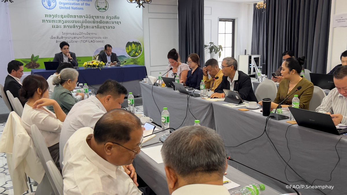 FAOLaoPDR's tweet image. Proud FAO Laos joined govt & partners on tea! Meeting: Lao tea master plan & national association. Focused on unique potential for growth. Tackled challenges: data, value chain, regions. Association crucial. Strong commitment to sustainable future!
fao.org/lao-people-dem…