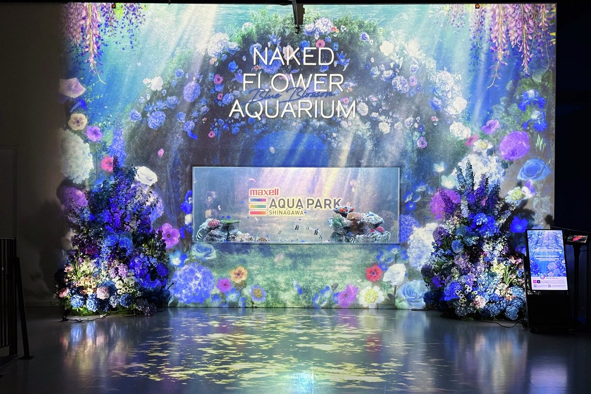 パステルカラーのミャクミャクピンク×水色会場限定品 マクセル アクアパーク品川公式 on X: 