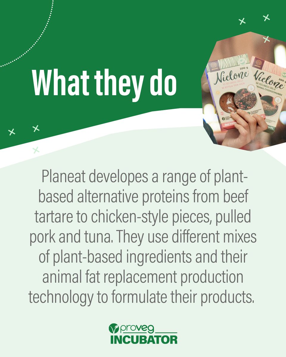 ProvegIncubator's tweet image. Meet Planeat! From vegan tuna to pulled pork, they’re crafting next-gen plant-based meats using custom fat replacement tech.🤩  #ProVegIncubator13