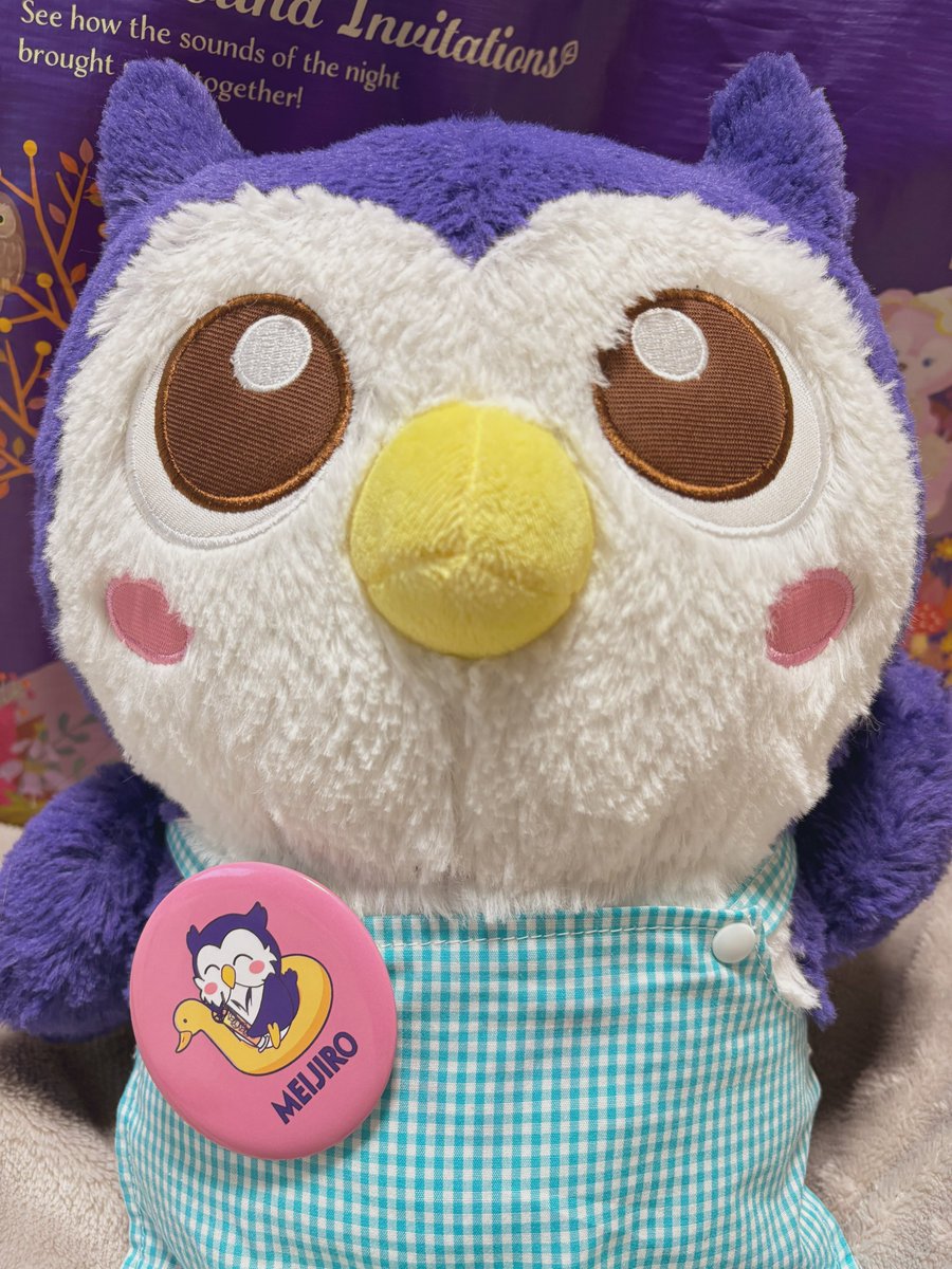 EnNvnjh's tweet image. お友達に作ってもらったお洋服をドヤ顔で着るめいじろう大🦉