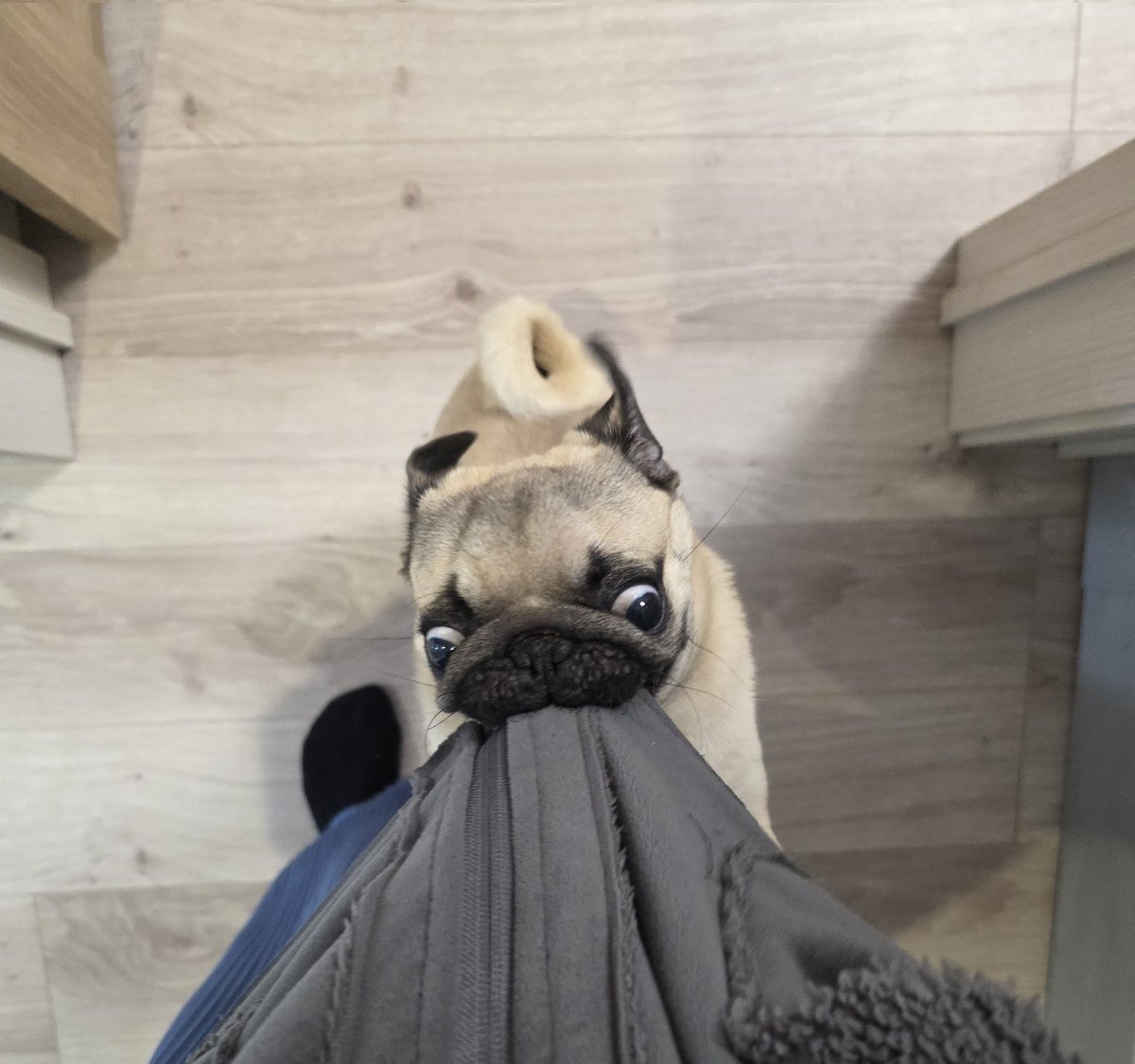 それやめれる？笑