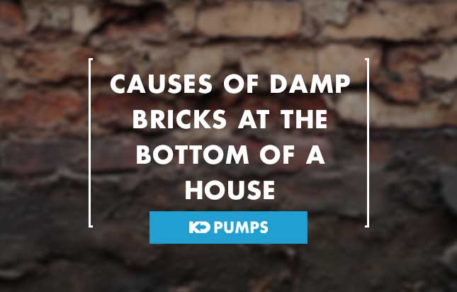 kdgroup_'s tweet image. Causes of Damp Bricks at the Bottom of a House

Seen #DampProblems on your ground level external walls? From #drainage issues, to poor ventilation, rising damp &amp;amp; plumbing leaks, this guide explores common causes &amp;amp; #DrainageSolutions

kdpumps.co.uk/damp-bricks/