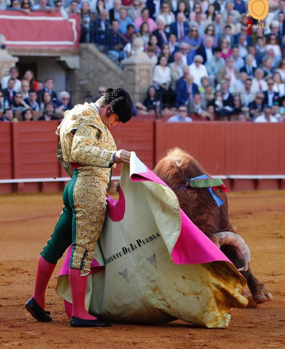 Es que no vamos a ver otra cosa igual