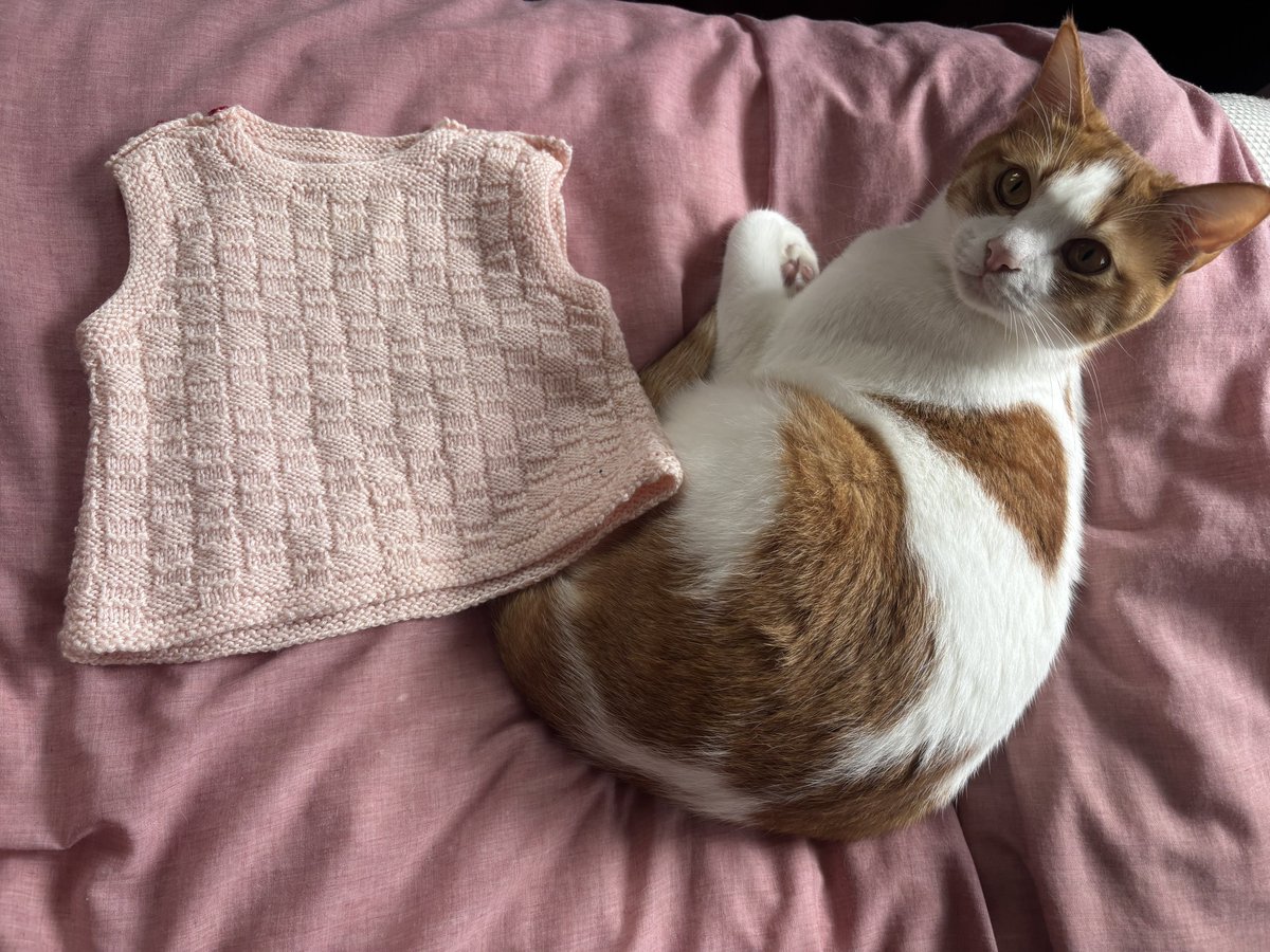 娘が生まれた時に編んだベスト。
懐かしい👶