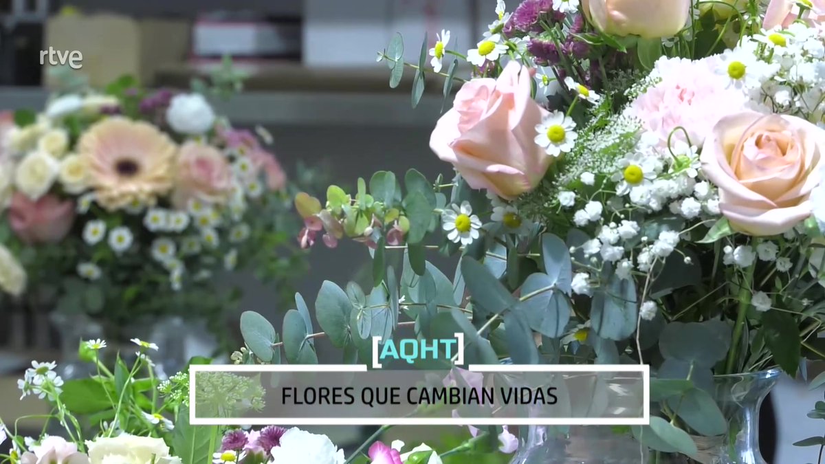AQHT_TVE's tweet photo. 🌺🌷🪻Hace unos meses, Laura vivía en la calle
y ahora es una de las 3 EMPLEADAS #FloresSolidarias

👉Un proyecto social
q da trabajo DIGNO y ESTABLE
a personas en sinhogarismo 🏠

💐Laura hace RAMOS DE FLORES solidarios
#insercionlaboral

Su historia: ▶️https://t.co/gGxHgCd51O https://t.co/IYIRzfEFT4