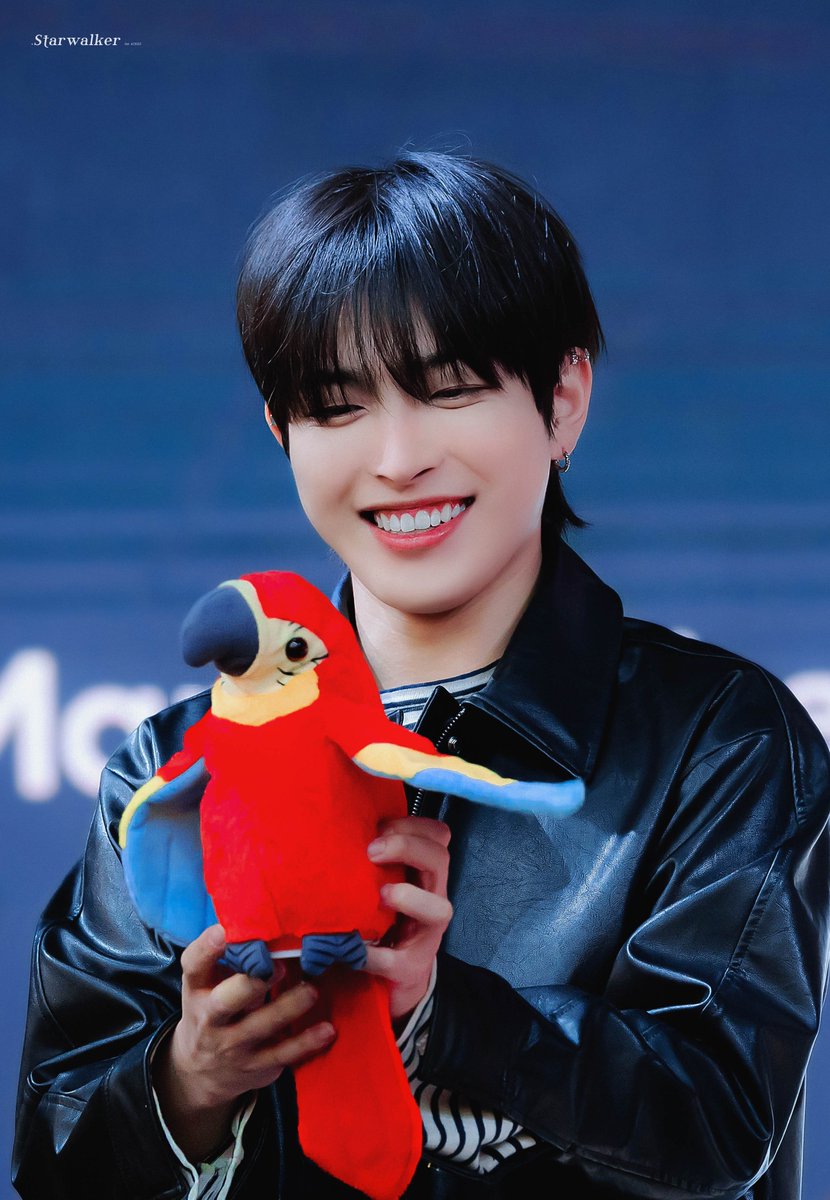 kimHJ_98's tweet photo. Little pirate with his Little parrot https://t.co/0xPUL0iwSE