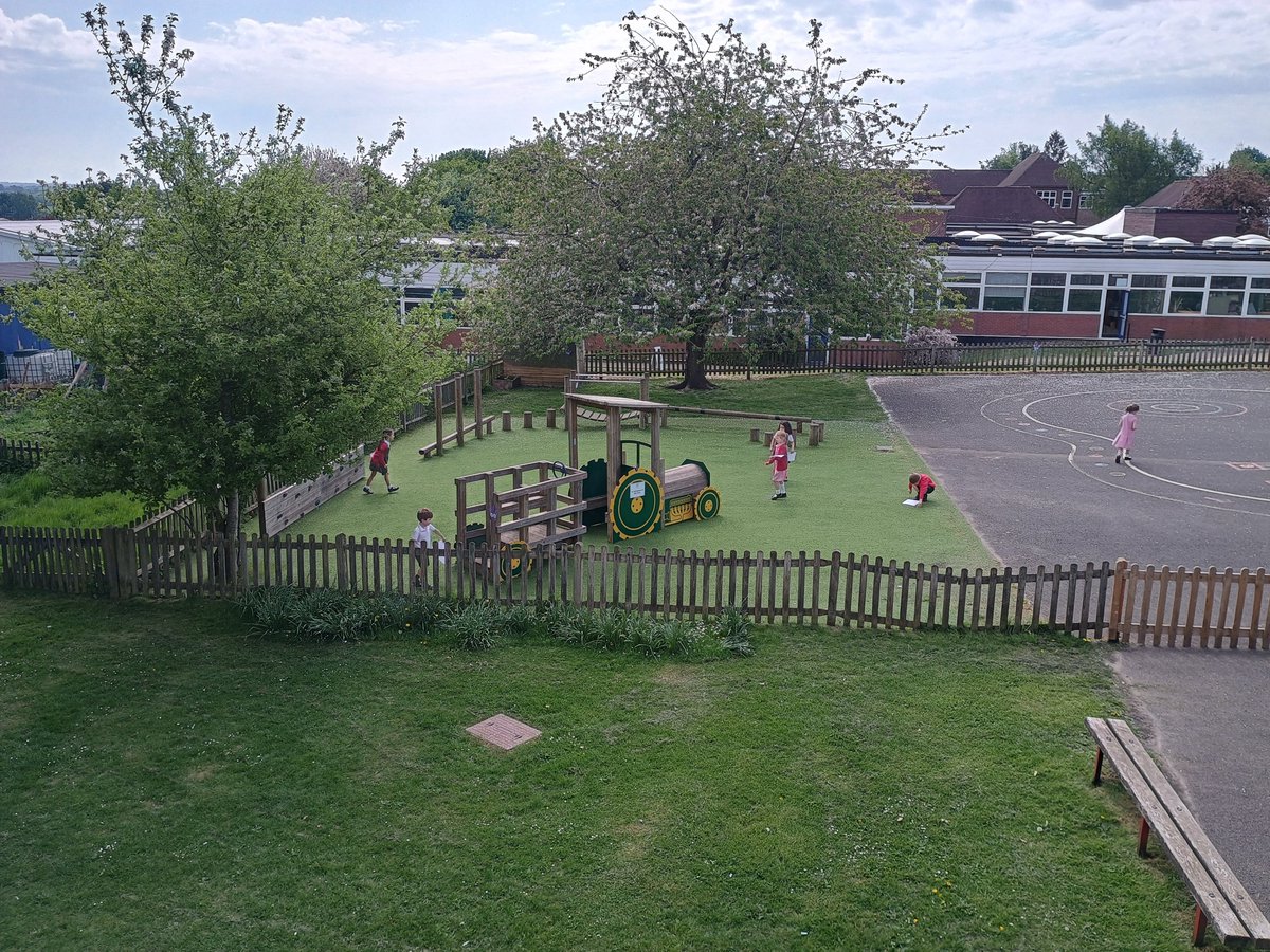 Manland Primary tweet media