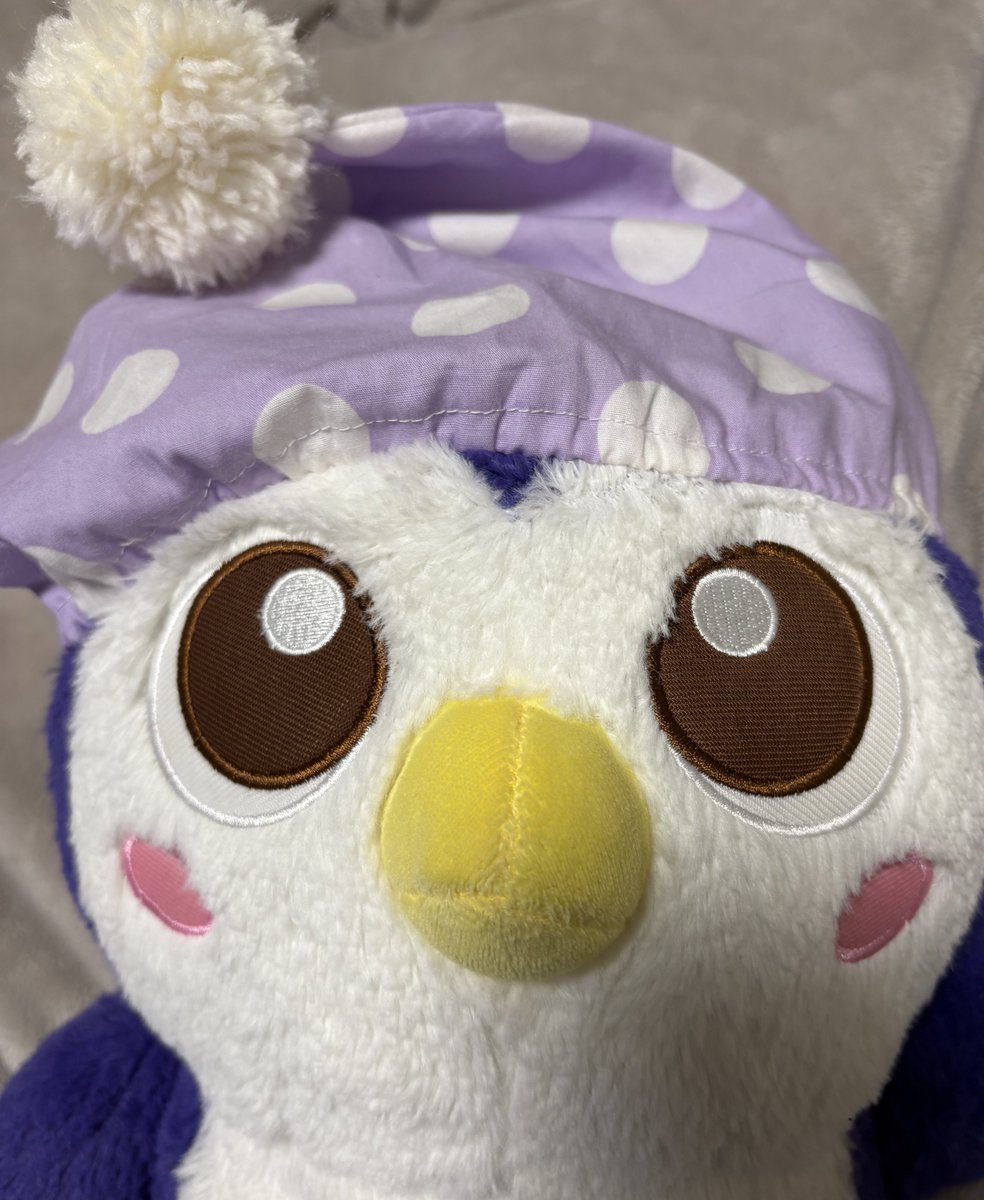 EnNvnjh's tweet image. 大喜びのめいじろうたち🦉🦉