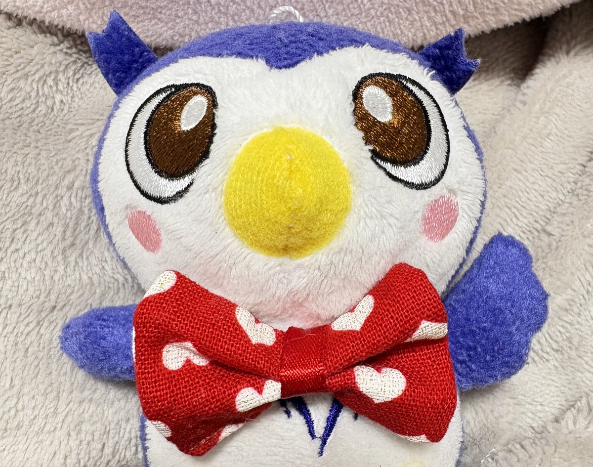 EnNvnjh's tweet image. 大喜びのめいじろうたち🦉🦉