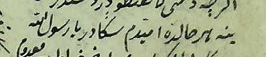 "Yine her hâlde ümîdim sanadır yâ Rasûlallâh"