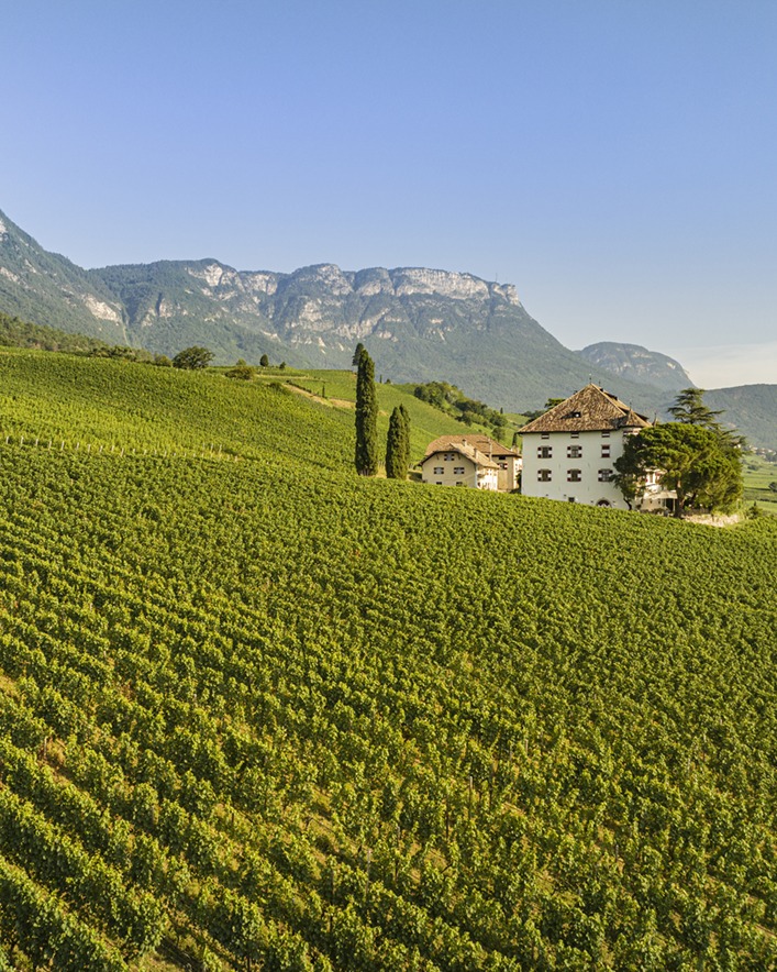 Thank you to <a href="/ElenaWalch/">Elena Walch</a> for taking part at OperaWine 2025!


#OperaWine #winespectator #Vinitaly2025