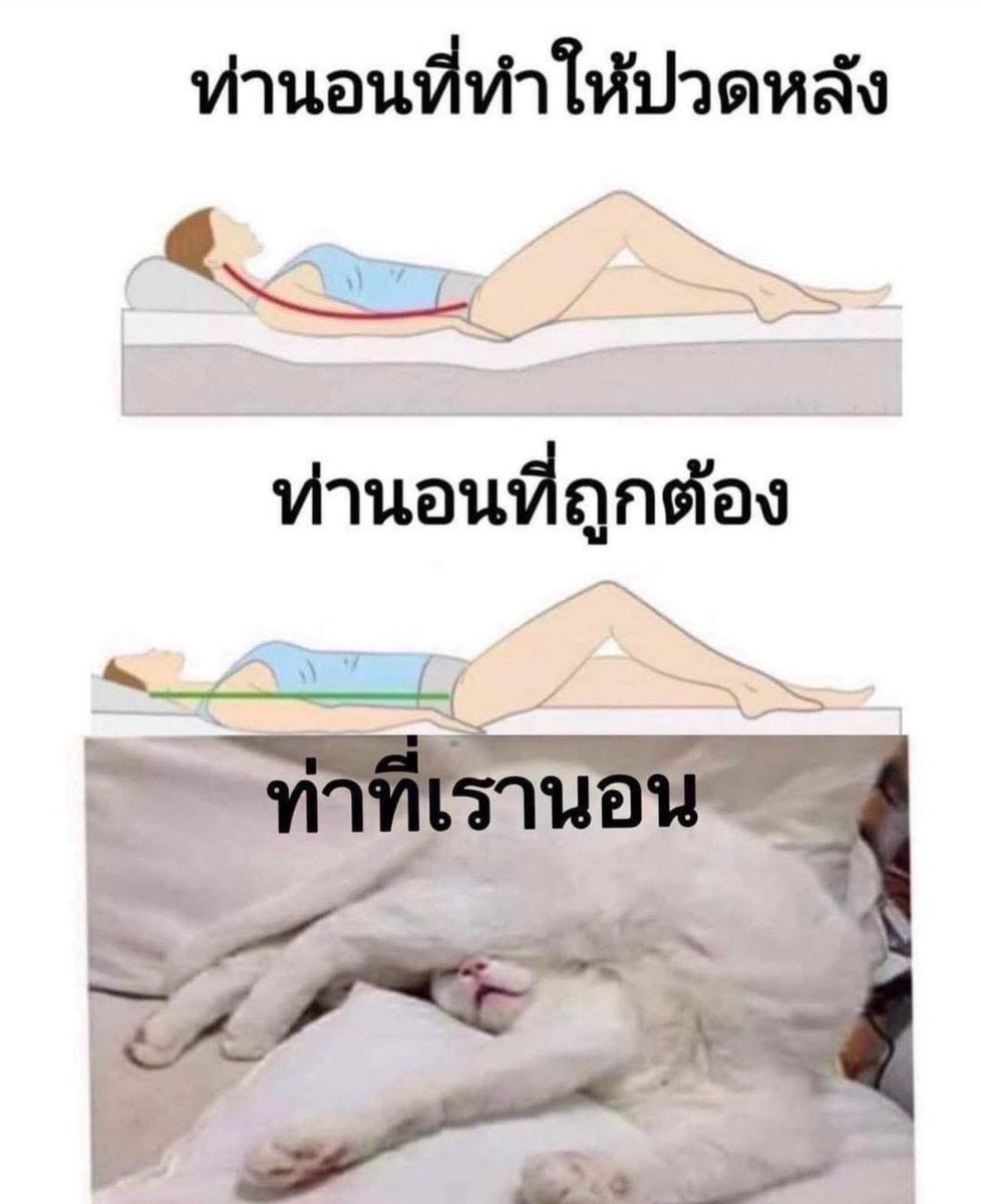 จบค่ะ ไม่ต้องแปลกใจทำไมปวดหลัง5555555