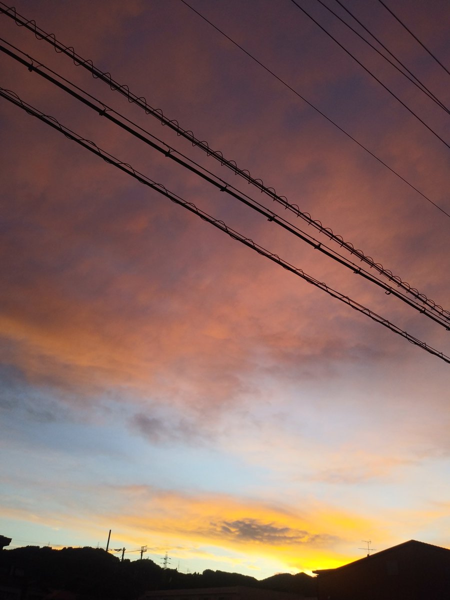 久しぶりに夕焼けを見ました。

#スマホショット