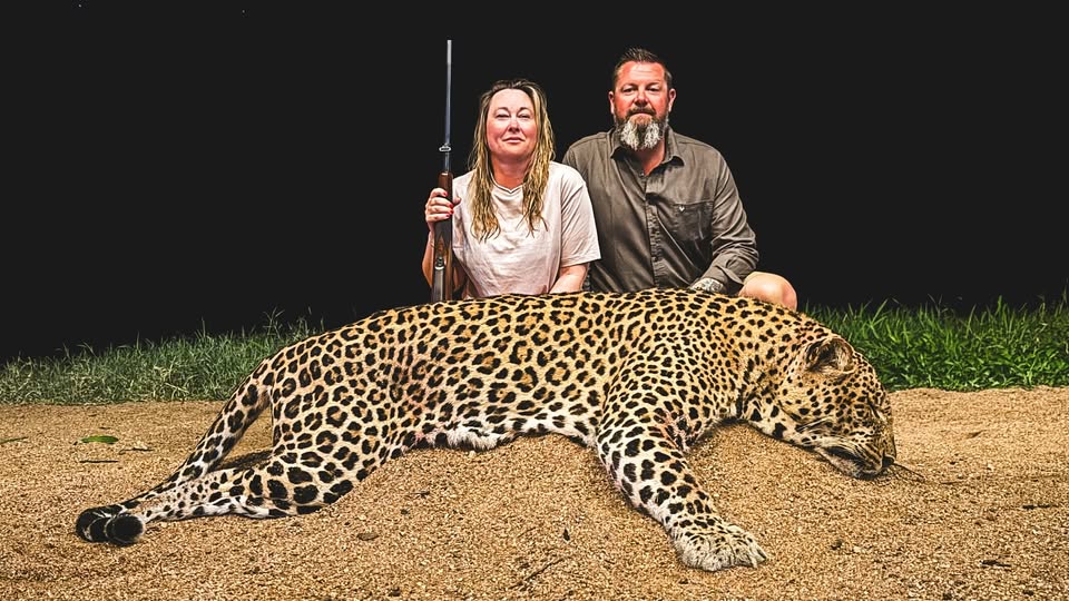 Trophy hunters put the CON in conservation!

Another trophy 'hunter' kills a Leopard at a baited tree. 

Well done Lacie. You travelled for days using all of your tracking skills to hunt the Leopard (NOT)!!

Don't forget the congratulations the whole Kilombero North Safaris