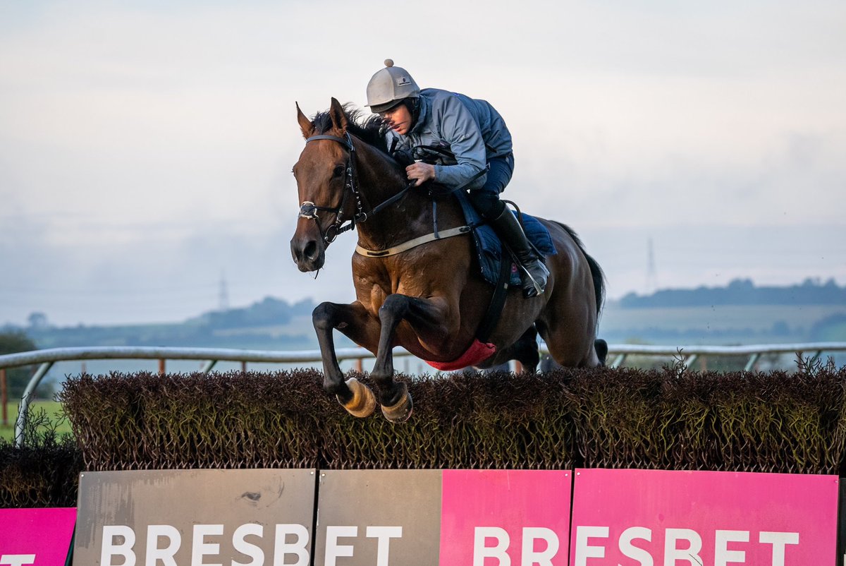 FOBRacing's tweet photo. We also run Autonomous Cloud in the last @CheltenhamRaces this evening, Harry O’Dwyer rides #TeamFOB https://t.co/3DcOUwSLBH
