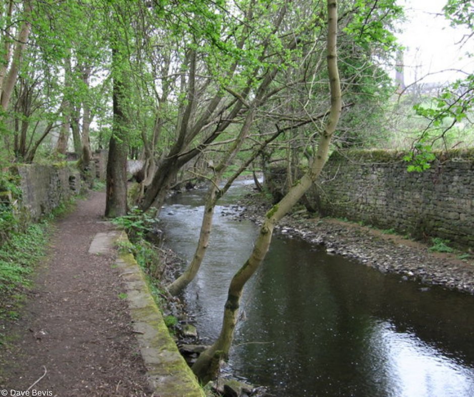 Our annual Trout in the Town Conclave is coming to #Keighley #Yorkshire on 2nd &amp; 3rd July 2025! Join us to learn about and celebrate urban rivers through talks, guided walks, riverfly sampling, and pollution hunting. More info: riverworthfriends.org/trout-in-the-t…