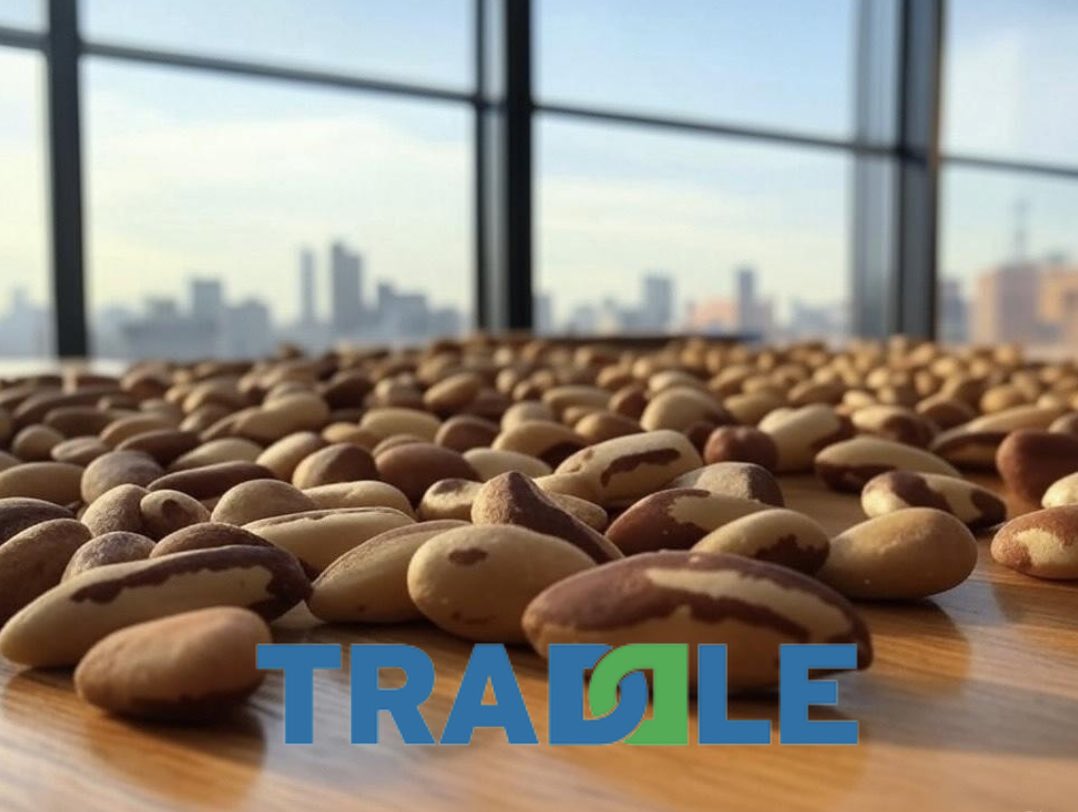Traddle's tweet image. FOB price 4 shelled #Brazilnuts from #bolivia in 2025 is projected to hover around $6,500-$7,000 per ton. Varieties as: Tiny (396-484 kernels/kg), Midgets (352-396 kernels/kg), Smalls (308-352 kernels/kg), Mediums (242-286 kernels/kg), and Large/Giants (176-242 kernels/kg) #nuts
