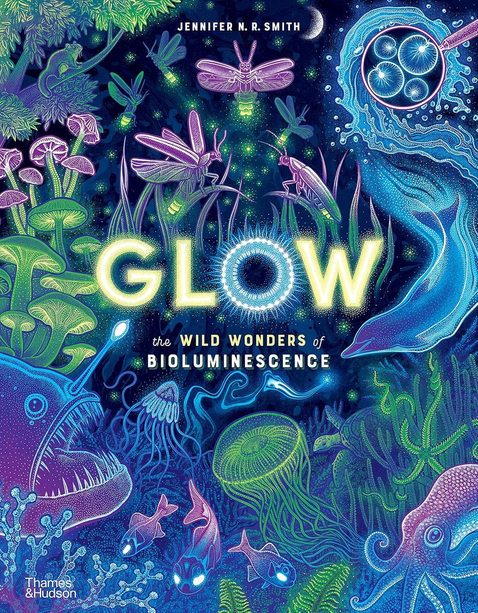 writertales's tweet photo. All things that glow, whether deep in the ocean or flitting across lawns, are in this gorgeous, oversized picture book - Glow: The Wild Wonders of Bioluminescence- shared on today's Perfect Picture Book Friday. https://t.co/c3mKhAzcLo https://t.co/vVyHGUBsG1