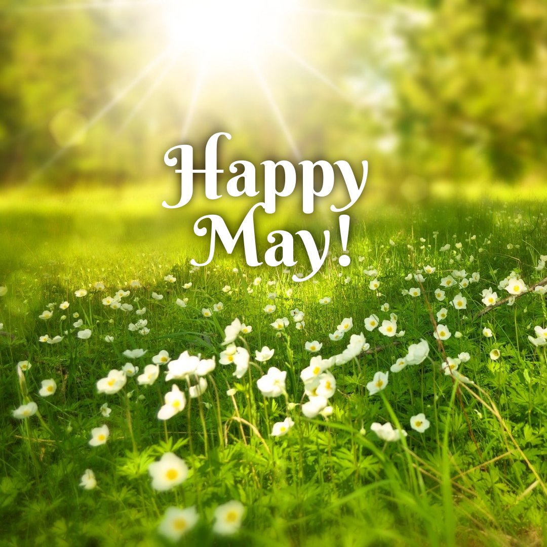 Heidi Main (@heidimain) on Twitter photo Happy May 2nd!
Our daffodils are spent, they bloomed in late January!
Our azaleas are just about done.
How about you ~ what's blooming right now where you live? Happy May 2nd!
Our daffodils are spent, they bloomed in late January!
Our azaleas are just about done.
How about you ~ what's blooming right now where you live?