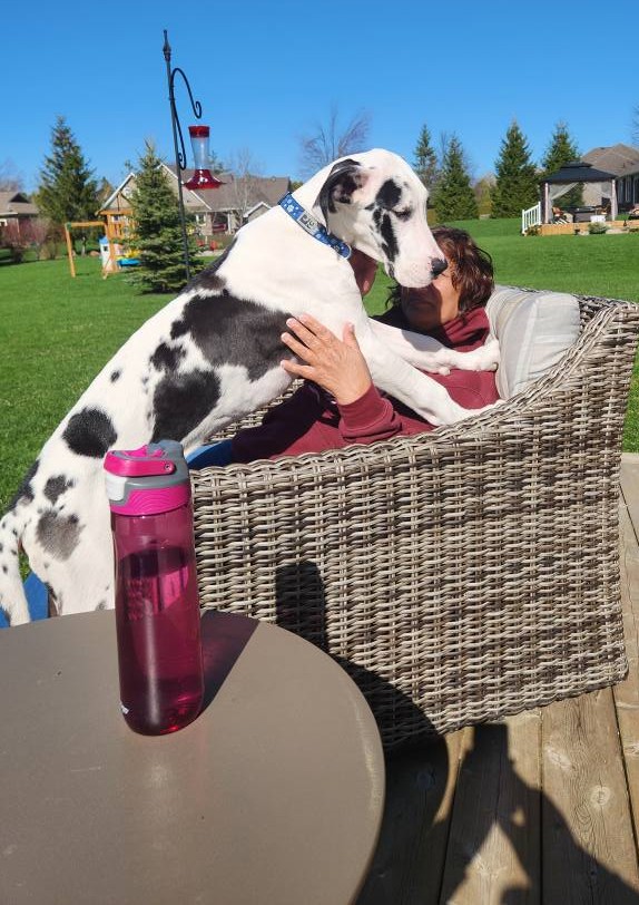 Puppy cuddles can be awkward when the puppy is a 5-month-old Great Dane.