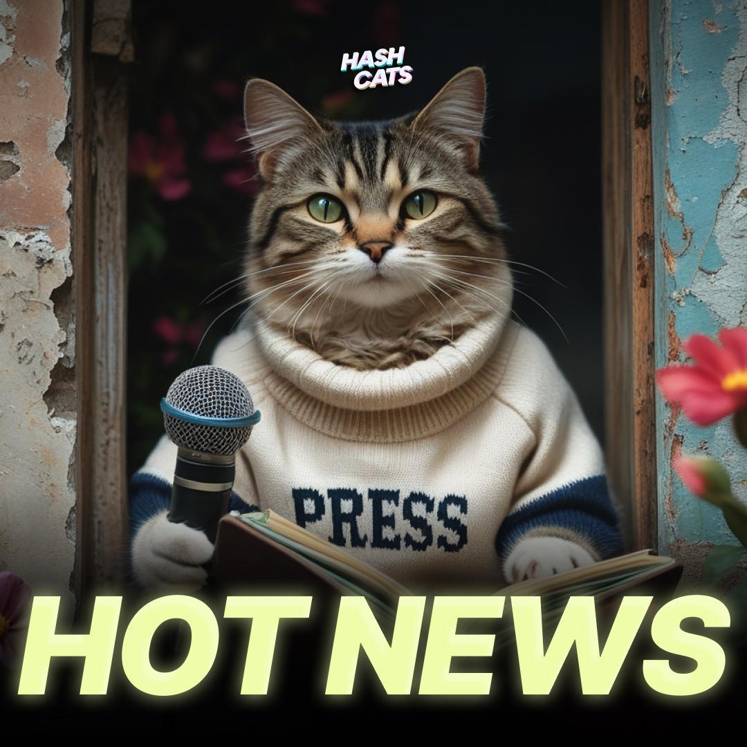 HashCats tweet media