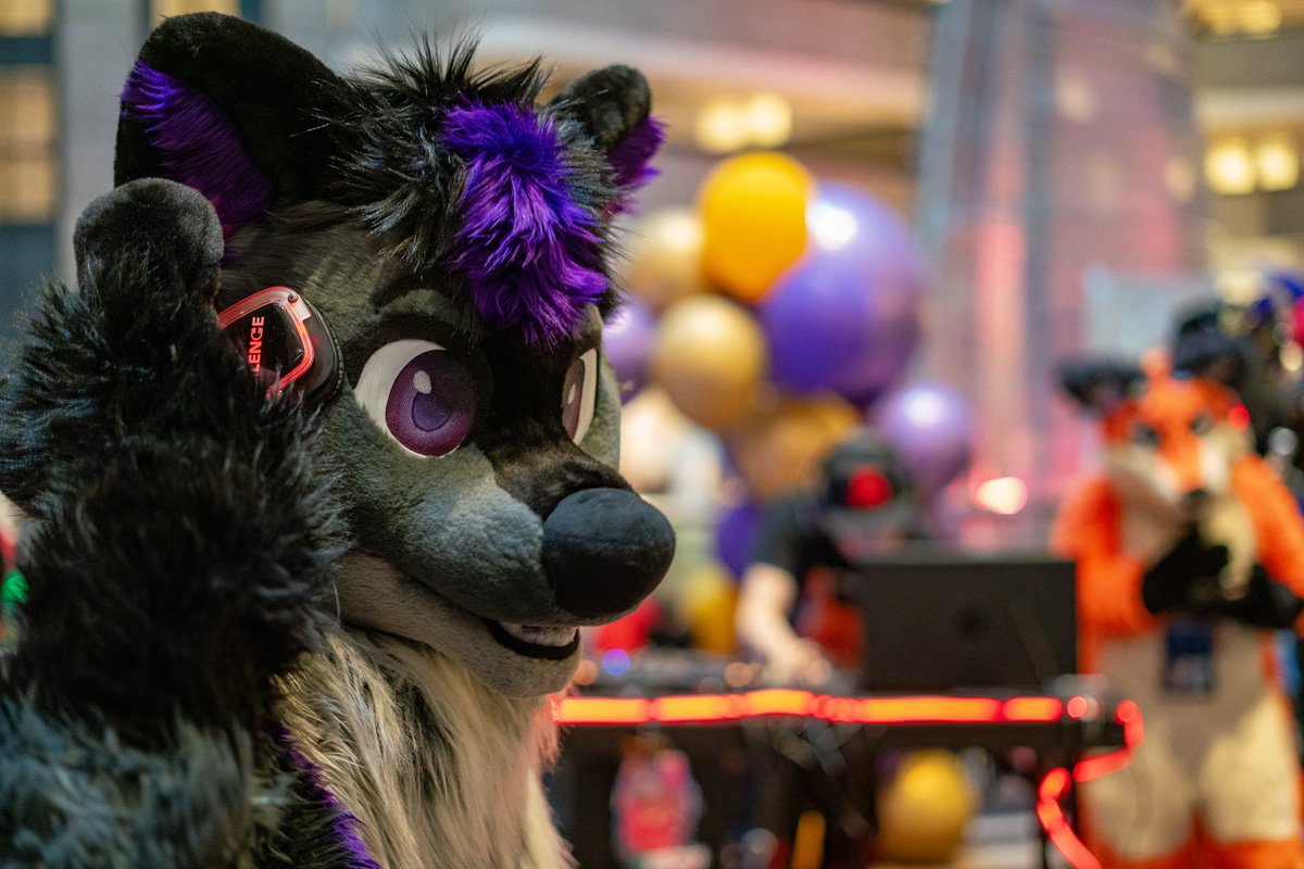 Valckan 🔜 FWA (@valckan) on Twitter photo Hope everyone enjoys the weekend!
I still don’t think I’m using these headphones the right way 🤷♂️
Happy #FursuitFriday
📸 <a href="/GallantWicker/">Gallant @ AC</a>
🪡 <a href="/Fullmoonspecial/">✨Full Moon Special✨</a>
🎶 <a href="/DJFoxy_Official/">DJ Foxy 🎧🧡➡️ FWA, MC3, AFC?</a> Hope everyone enjoys the weekend!
I still don’t think I’m using these headphones the right way 🤷♂️
Happy #FursuitFriday
📸 <a href="/GallantWicker/">Gallant @ AC</a>
🪡 <a href="/Fullmoonspecial/">✨Full Moon Special✨</a>
🎶 <a href="/DJFoxy_Official/">DJ Foxy 🎧🧡➡️ FWA, MC3, AFC?</a>
