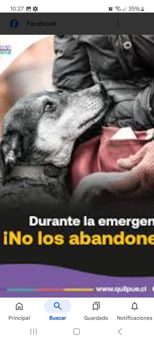paloespin's tweet image. Amigos de Puerto Williams, Magallanes y zona del #Terremoto #Tsunami: evacúen con MASCOTAS, por favor, no los dejen abandonados a su suerte 🙏
#tudia13
#contigochv
#muchogustomega