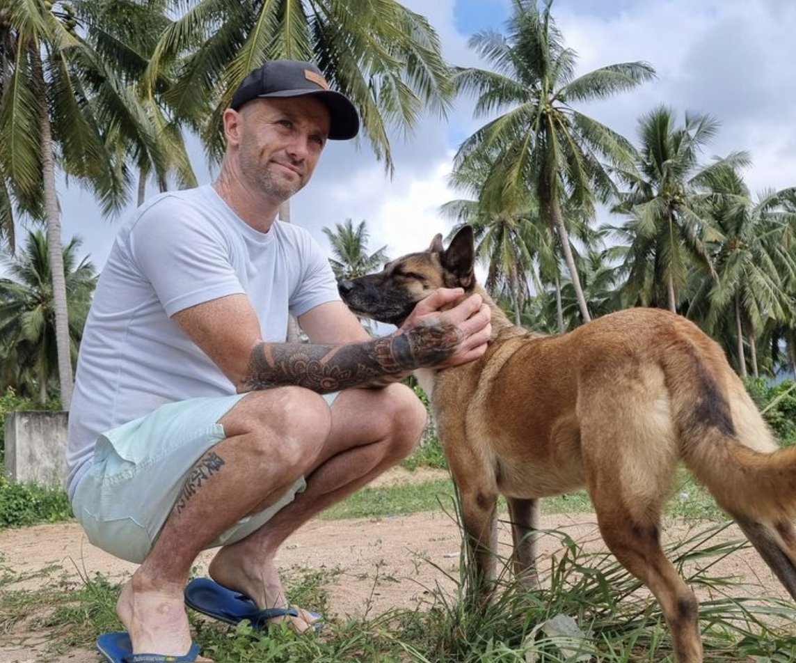 Niall Harbison tweet media