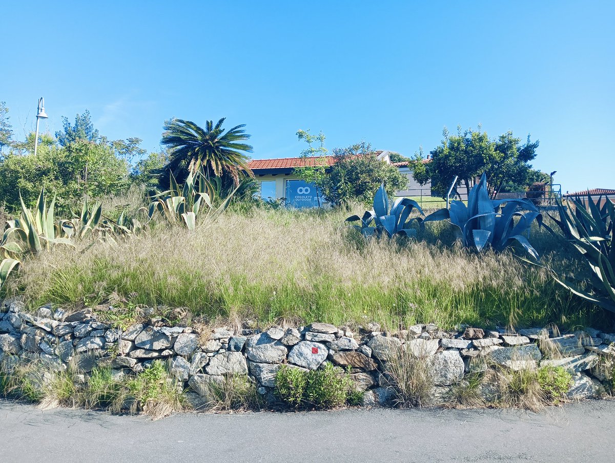 Venerdì di ponte "lavorativo" per i nostri soci "pollici verdi" impiegati con decespugliatori e rastrelli per il consueto defrascamento pre-estivo della sede associativa sita nell'incantevole comprensorio del Beuca 👍🍀🏡⛏️🧹