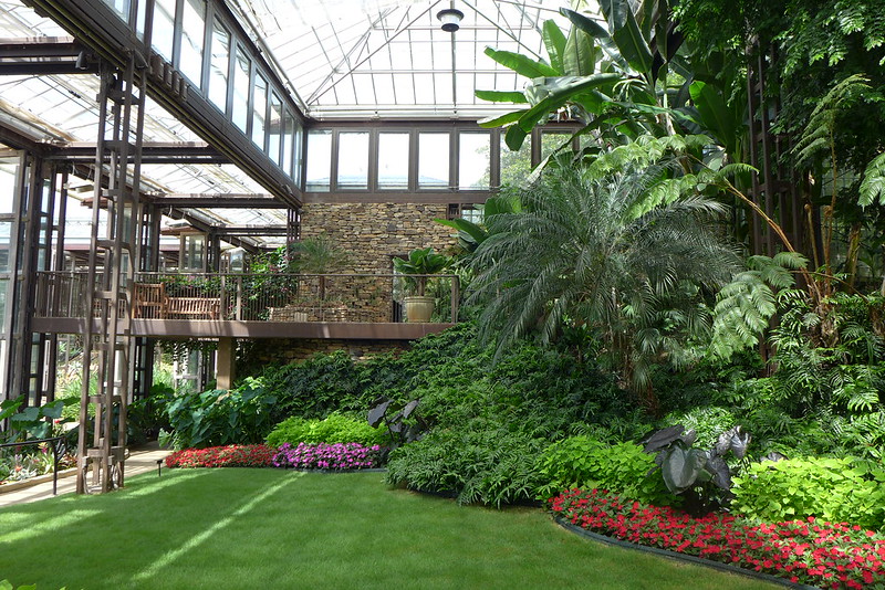 Where to see #palms... John A. Sibley Horticulture Center, Callaway Gardens, Pine Mountain, #Georgia, USA. 📷: Scott Zona CC BY-NC 2.0. #Where2CPalms