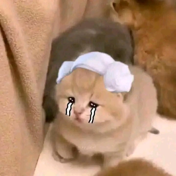 HUAAAAA