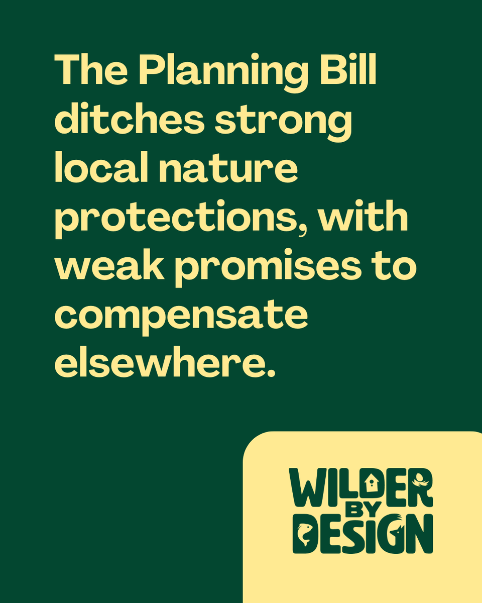 Wildlife and Countryside Link (@wcl_news) on Twitter photo Government’s watchdog <a href="/OfficeforEP/">The Office for Environmental Protection</a> has branded Planning Bill as environmental regression🥀
Ministers must not water down protections for communities and wildlife🚨
It's time to get #WilderByDesign & raise the bar for nature & neighbourhoods🏡
More via <a href="/TheENDSReport/">ENDS Report</a> 👇 Government’s watchdog <a href="/OfficeforEP/">The Office for Environmental Protection</a> has branded Planning Bill as environmental regression🥀
Ministers must not water down protections for communities and wildlife🚨
It's time to get #WilderByDesign & raise the bar for nature & neighbourhoods🏡
More via <a href="/TheENDSReport/">ENDS Report</a> 👇