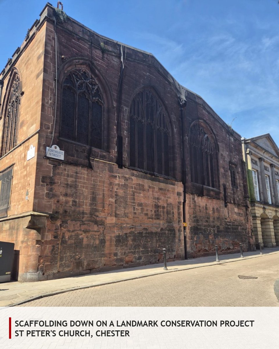 Recclesia tweet media