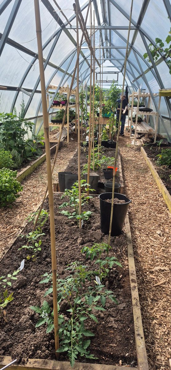 Togher Community Garden tweet media