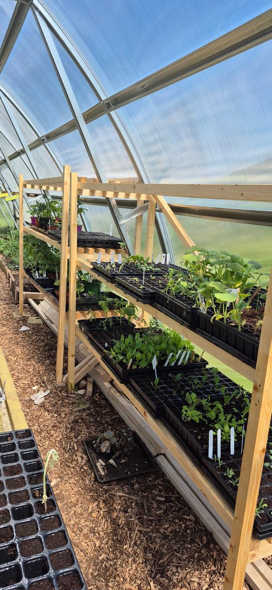 Togher Community Garden tweet media