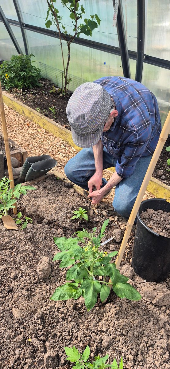 Togher Community Garden tweet media
