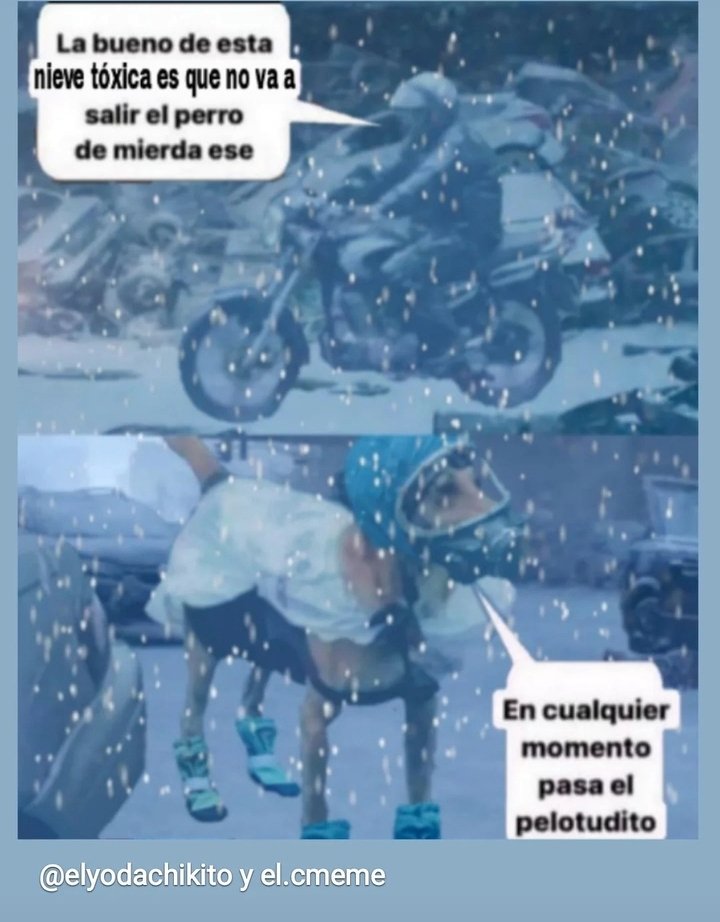 Ariel M. tweet media