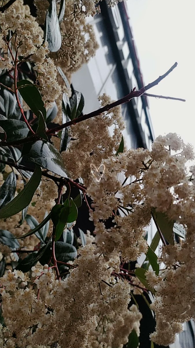 "Güzel insan aramak ile,
İnsandaki güzelliği aramak arasında 
Derin bir fark var.."