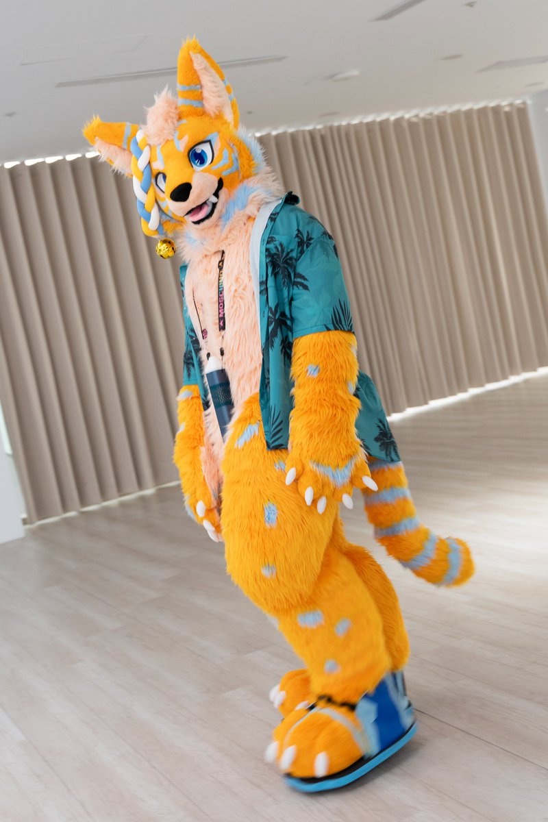 🐱

📷： <a href="/TianHuFox/">天狐拍拍</a> 
🪡：<a href="/wolf_daz/">Daza</a>

#FursuitFriday