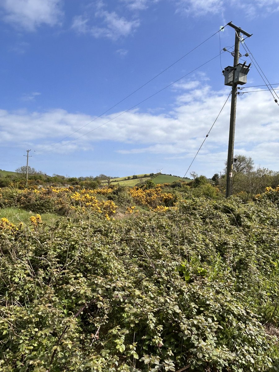 Stopped off at Saltwaterbrigg for one or two ❤️🍺 and to see a bit of countryside 👌🏻☀️😂😎#lovenorthernireland