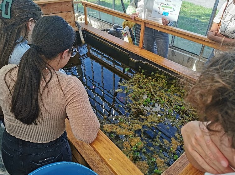 LBPascalForbach's tweet photo. 🟢 Visite éco-citoyenne !
Nos éco-délégués ont visité le centre de tri SYDEME à Morsbach : tri des déchets, compostage, serre pédagogique… et 7 km de marche sous le soleil 🌿🚶‍♀️
Testez vos connaissances avec le #DéfiTri ! 👉 https://t.co/UVfMiGvzr1
@pf_mourier
@cabbeke https://t.co/7Jjt7VT5OO